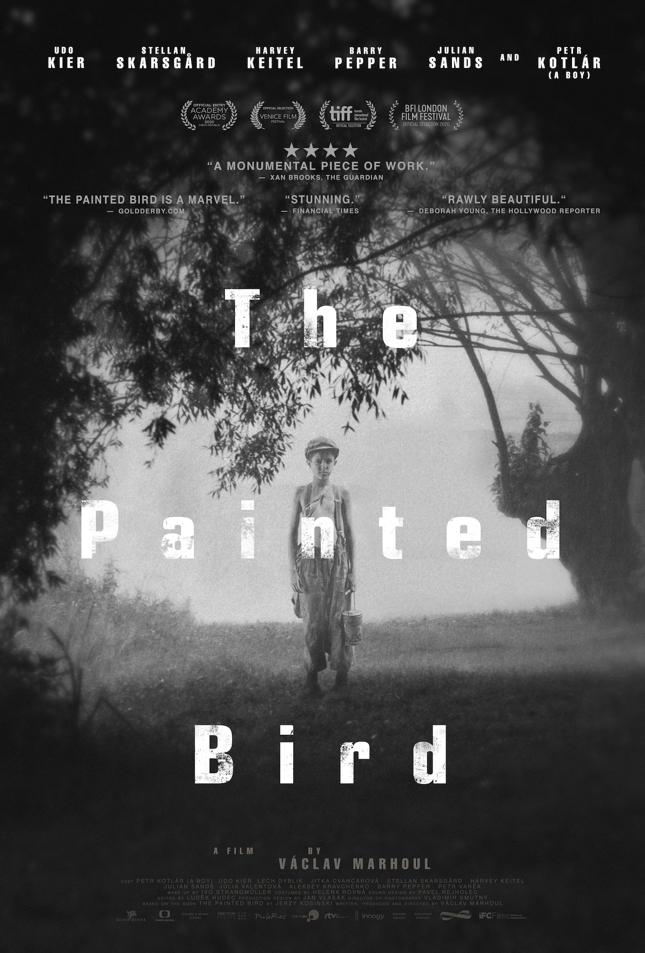 The Painted Bird.jpg